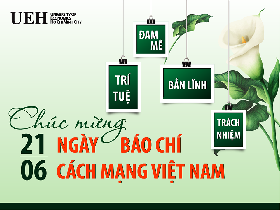 cá cược thể thao hul city